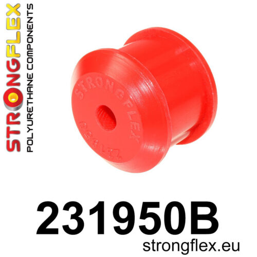 Tagumine axle frame – tagumine puks