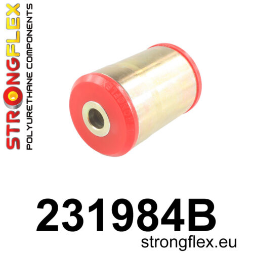 Tagumine axle puks